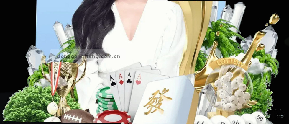 隐私政策与数据说明